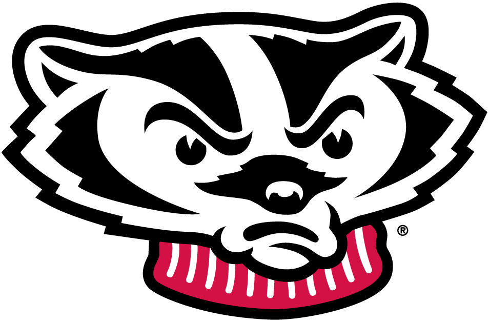 Wisconsin Badgers 2002-Pres Mascot Logo iron on transfers for fabric